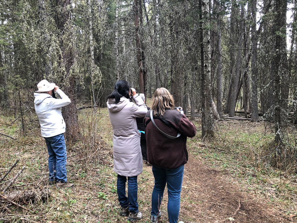 Birders Brown Lowry Park