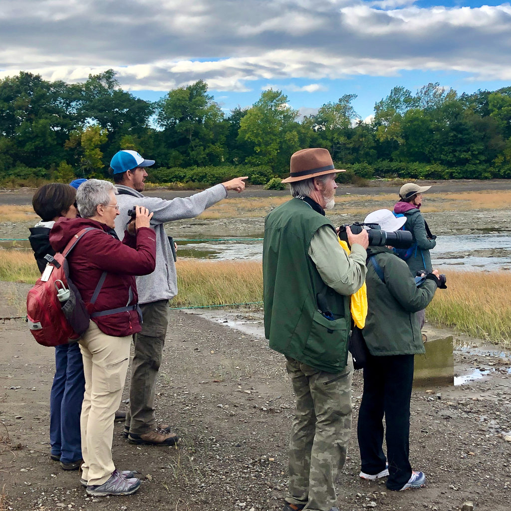 Guide pointing out birds