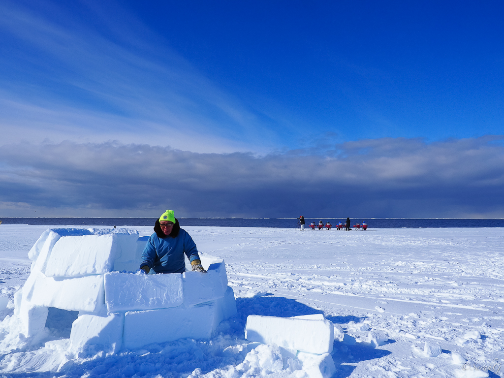 Our Inuit guides build an igloo while we watch wildlife at the floe edge