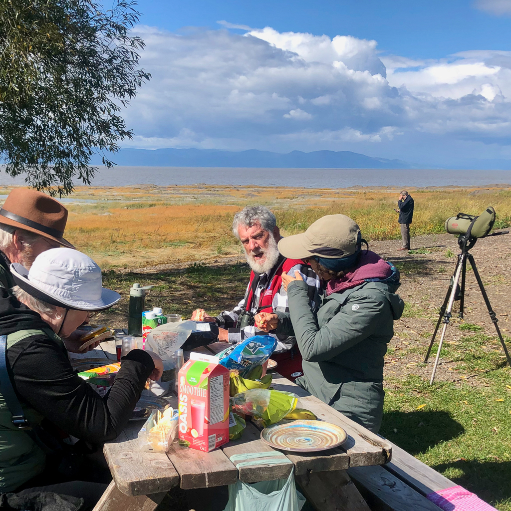 picnic lunch Quebec