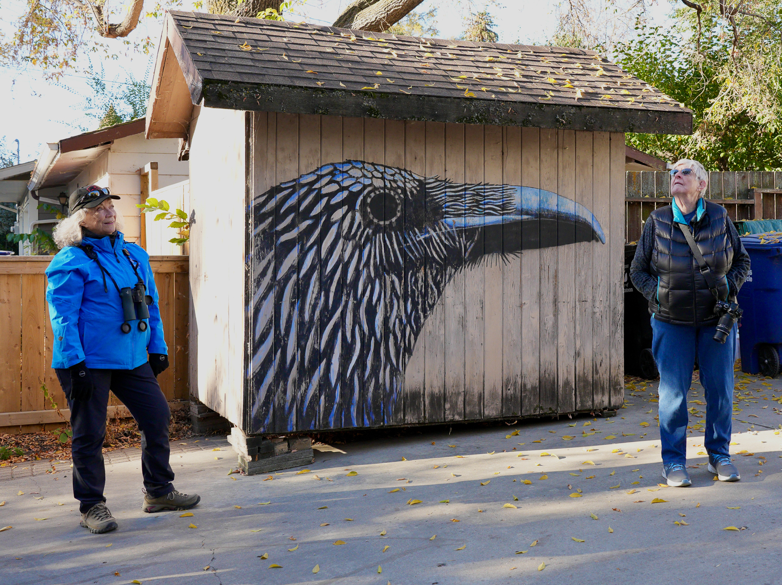 Bird art in Saskatoon