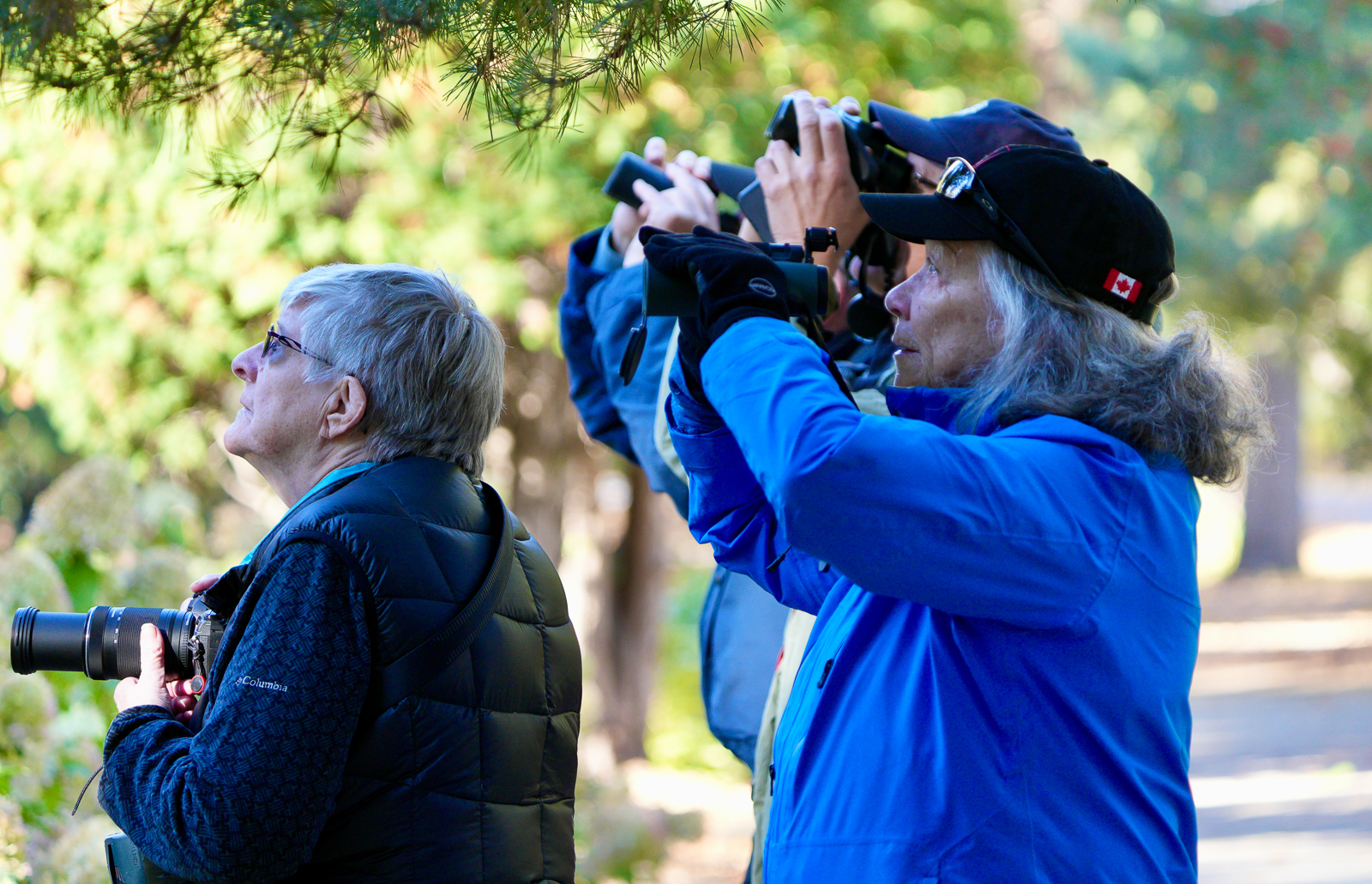 Birding in Saskatoon