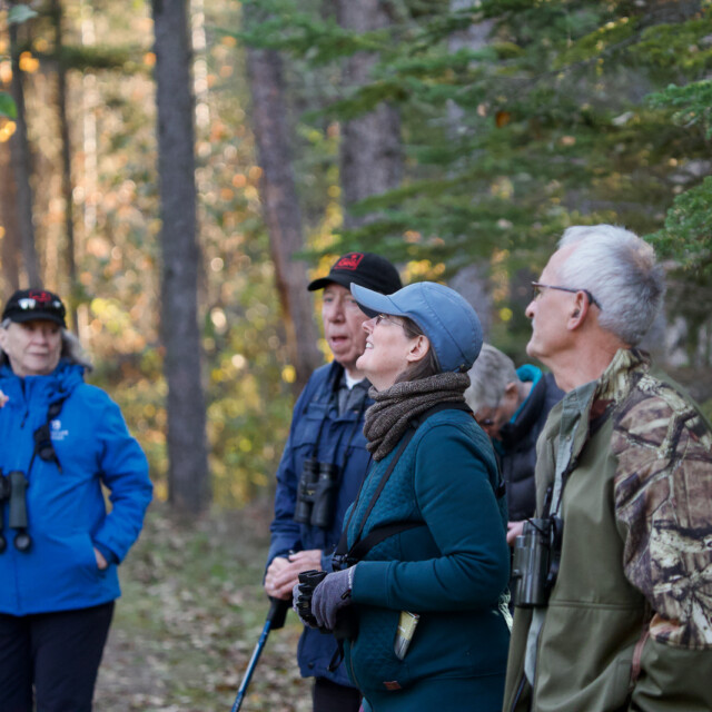 birders in forest in Saskatchewan