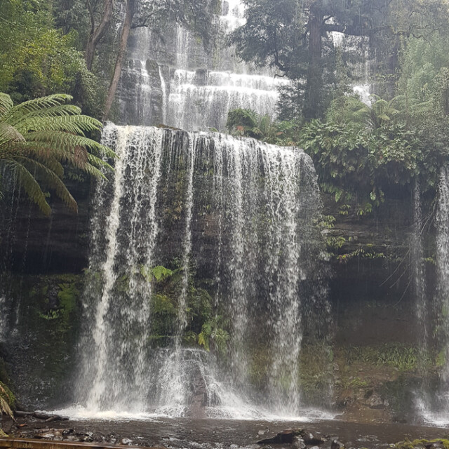 Russell Falls in Mt Field National Park