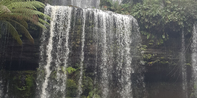 Tasmania Birding Tour 2022 - Trip Report (Oct 26 - 3o)