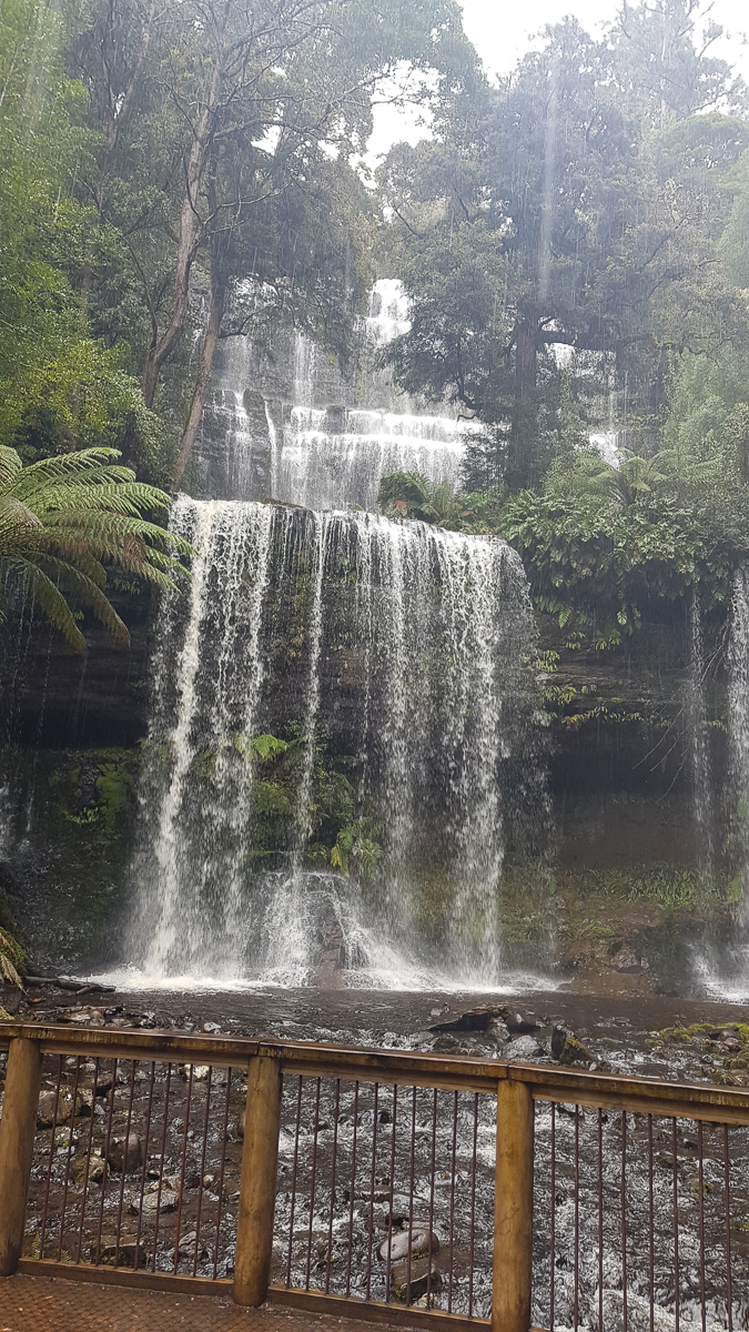 Russell Falls in Mt Field National Park