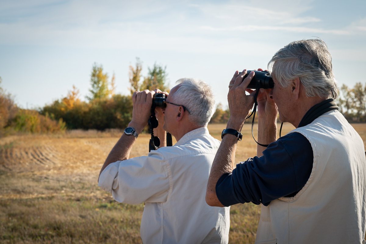 Saskatchewan birding tour