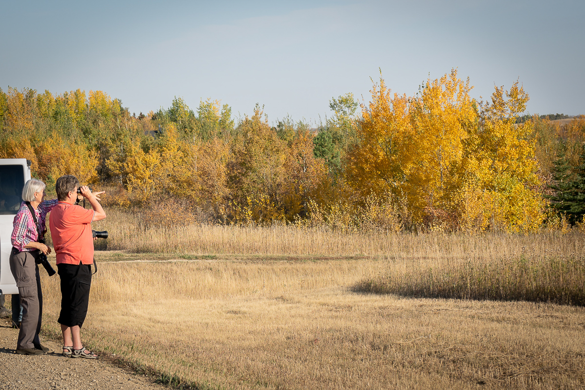 Birders in fall in Saskatchewan