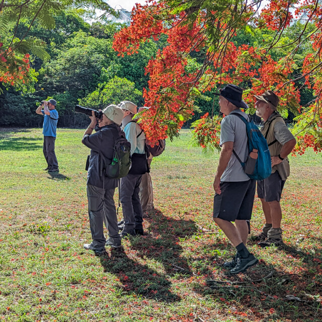 Birding at East Point