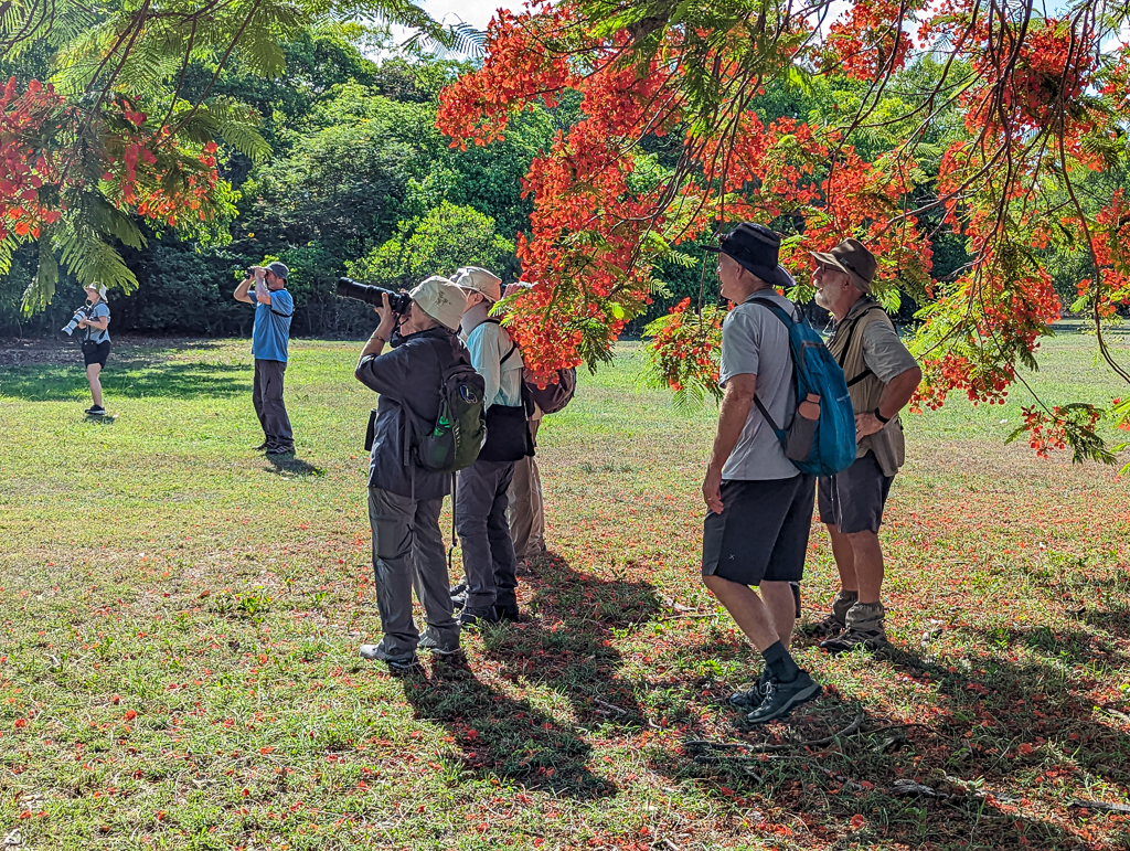 Birding at East Point
