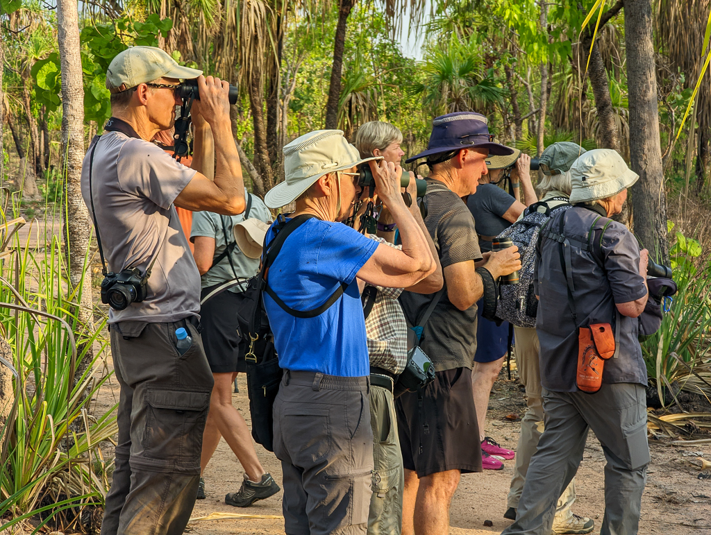 Birding at Mamukala wetland