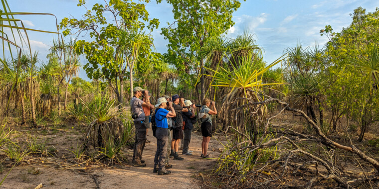 Australia: Tropical Birding Trip Report 2022 (Oct 30 - Nov 7, 2022)