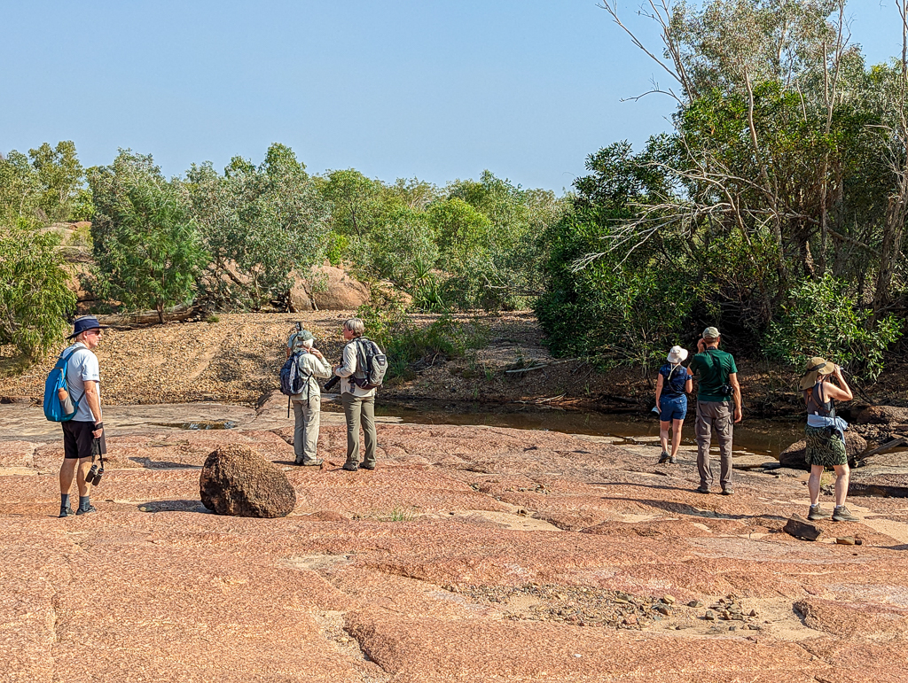 Birding at Edith River