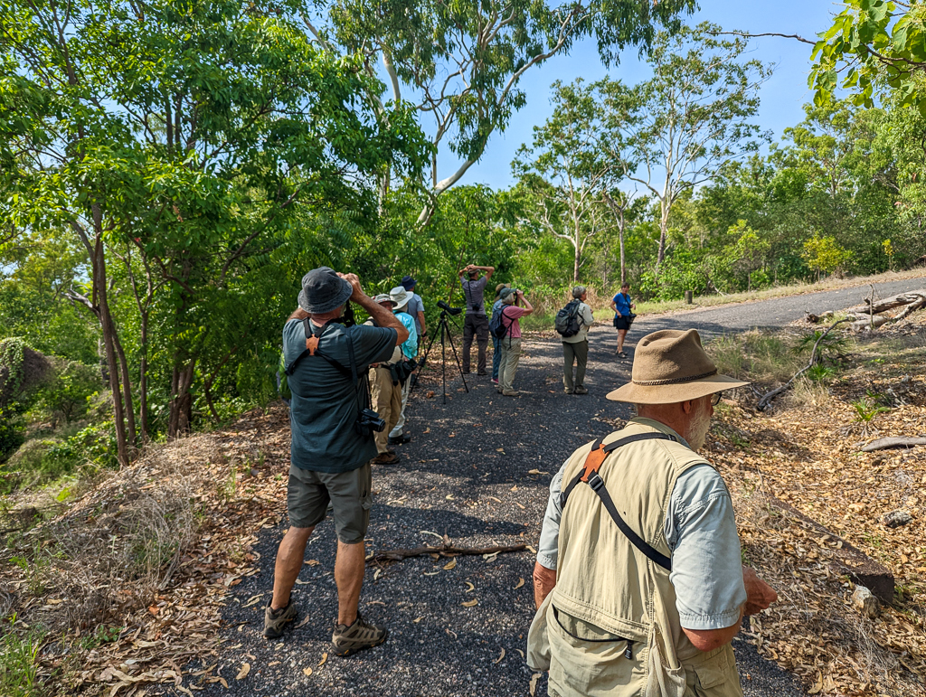 Birding in Charles Darwin National Park