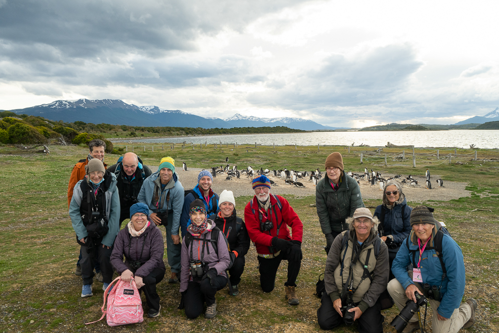 Visiting the Isla Martillo Gentoo penguin colony