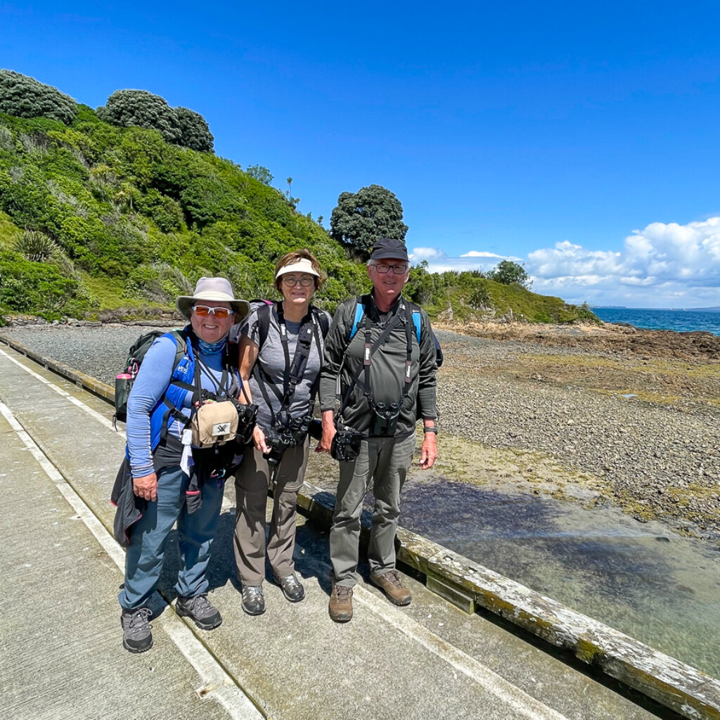 Birders at Tiritiri Matang Island