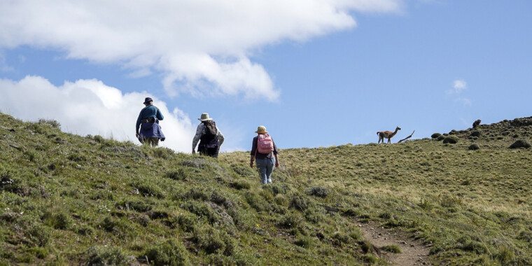 Get to know your guide: Paul Prior