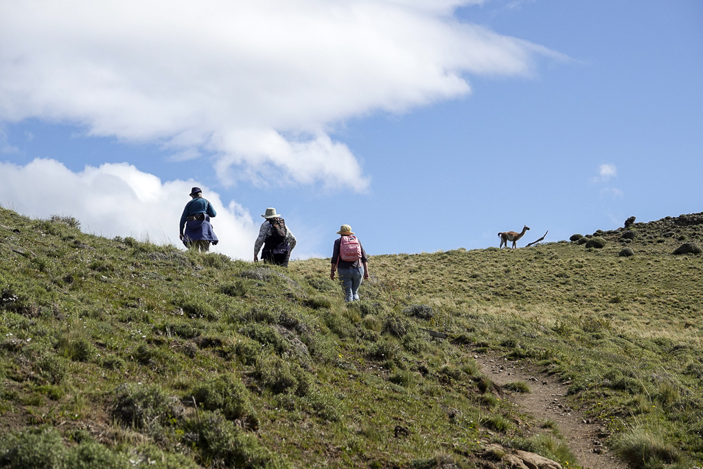 Hiking Torrest del Paine