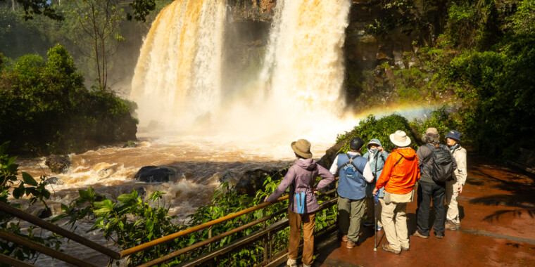 Iguazu Birding Tour Trip Report 2022
