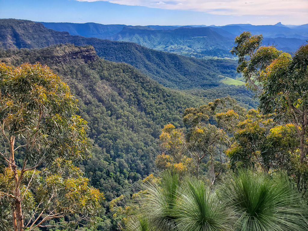 Python Rock Walk, O'Reillys, Australia