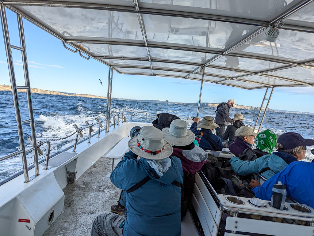 Sydney pelagic tour