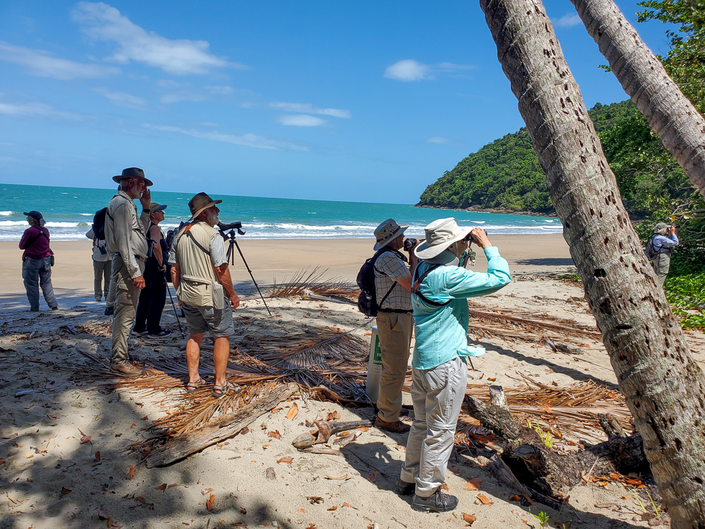 Birdwatching Ettys Beach