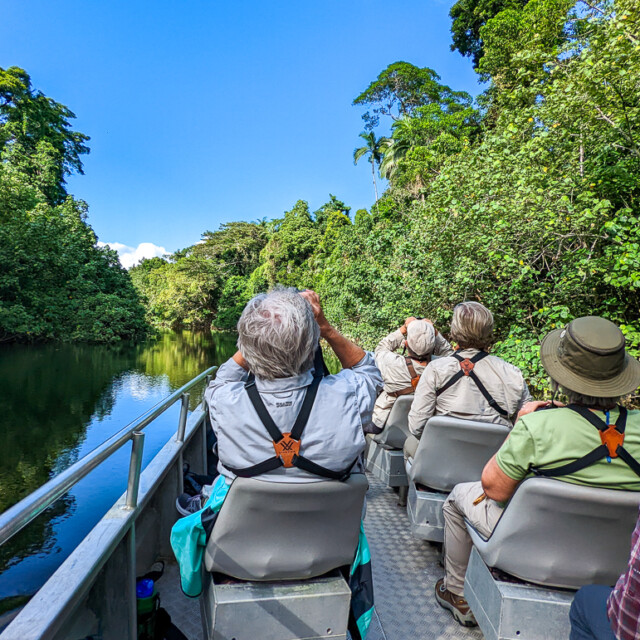 Daintree River cruise