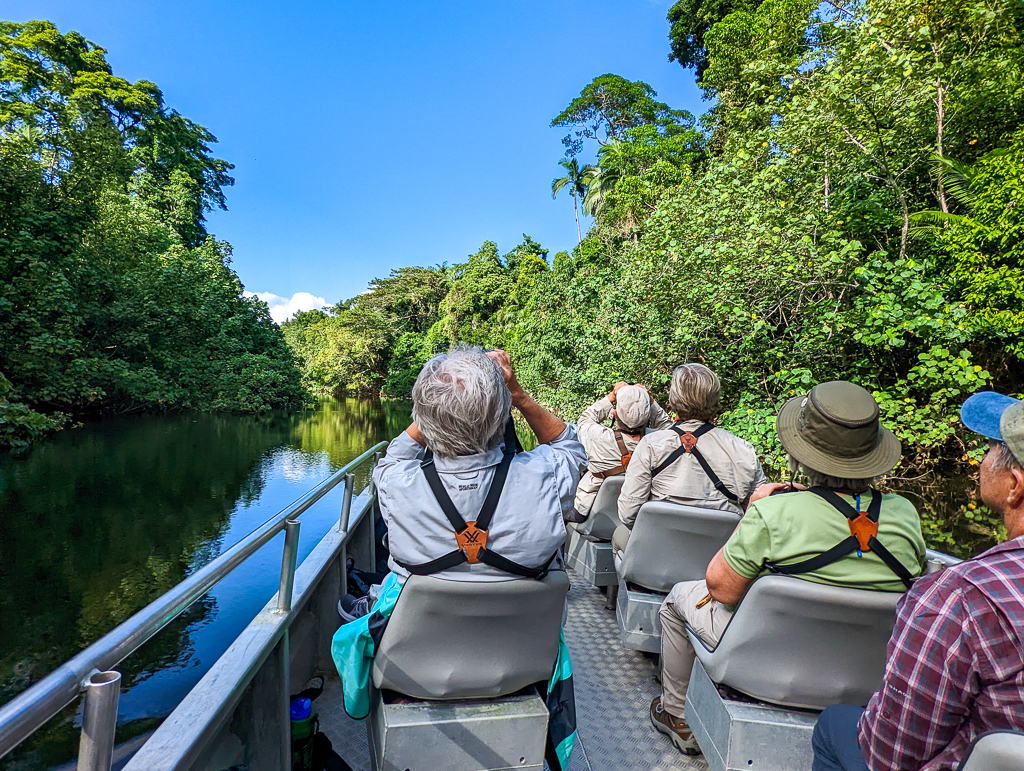 Daintree River cruise