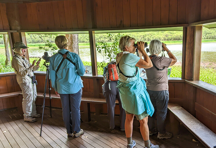Birdwatching at Hasties Swamp