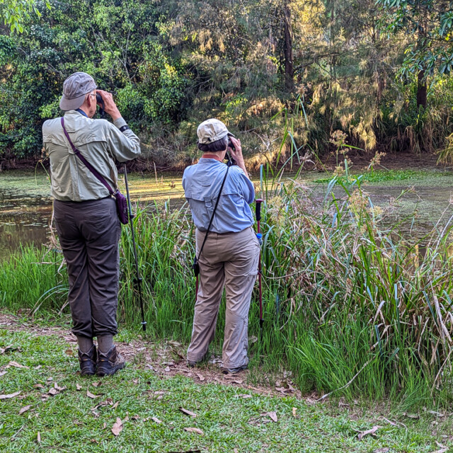 Looking for Platypus