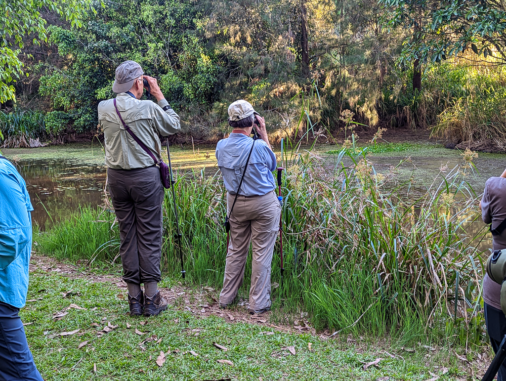 Looking for Platypus