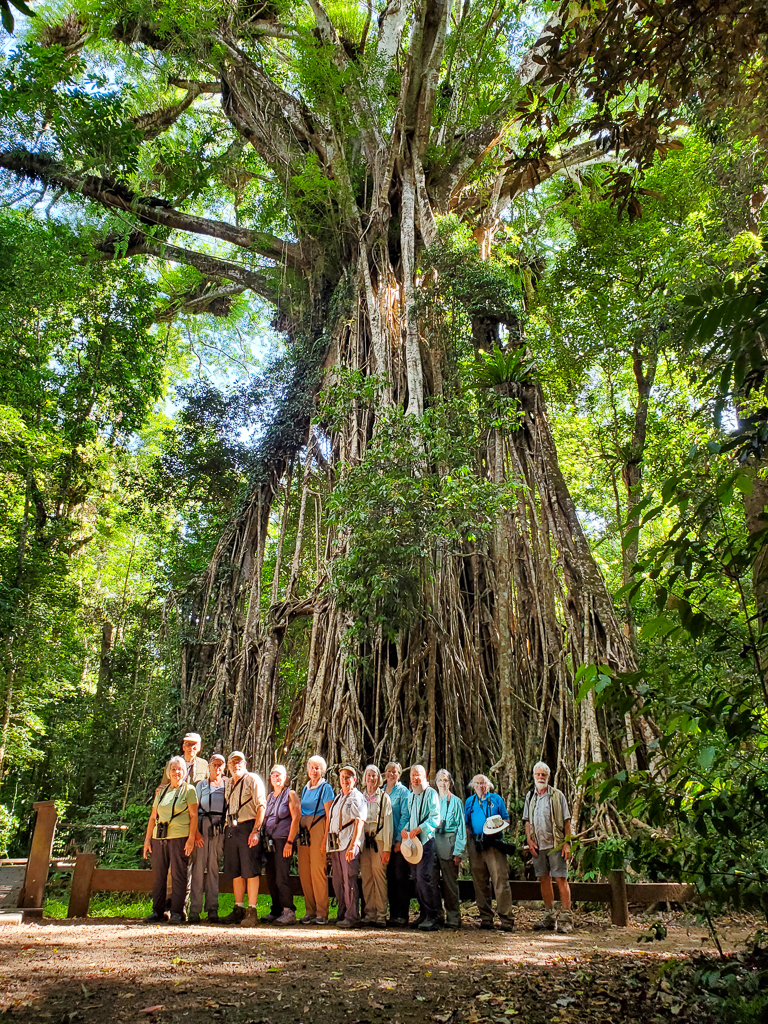 Group photo at Cathedral Fig