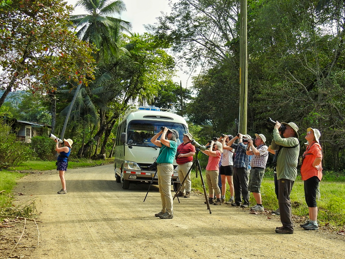 Birding in Tárcoles