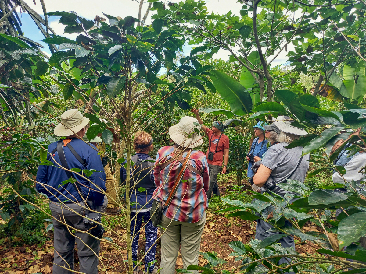 Coffee Tour Costa Rica