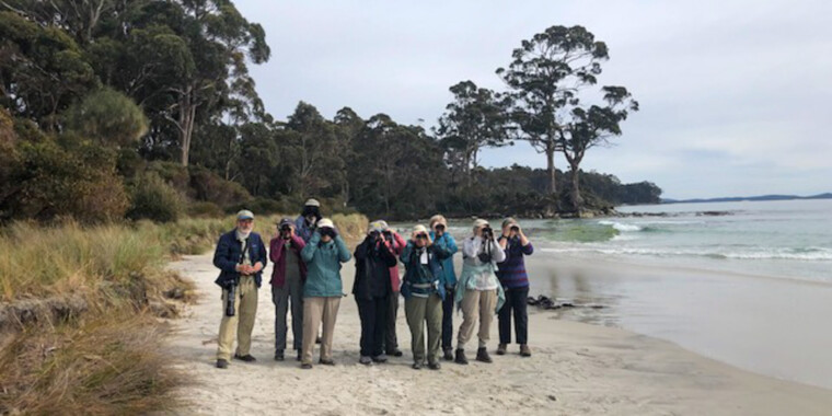 Australia: Tasmania Trip Report (Nov 2022)