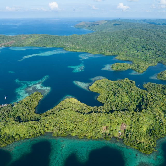Coral reefs fringe convoluted, tropical islands found in a remote part of the Solomon Islands. This beautiful Melanesian island nation harbors extraordinary marine and terrestrial biodiversity.