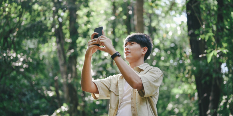 Best Bird Identification Apps