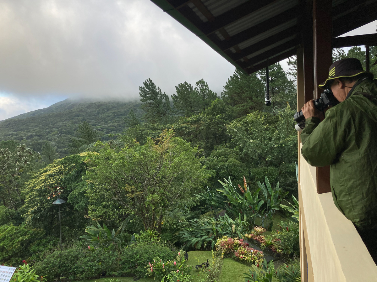 Birding in Arenal