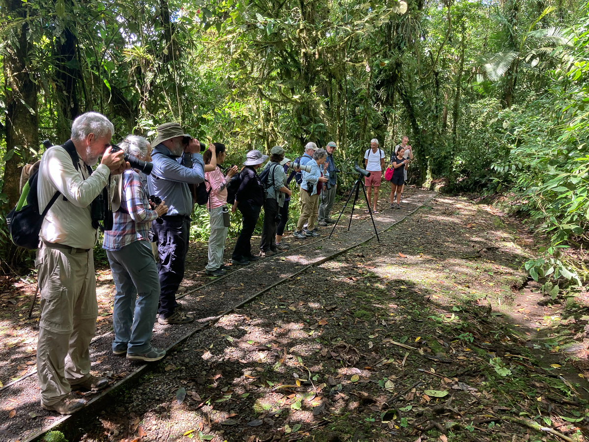 Birders in Costa Rica
