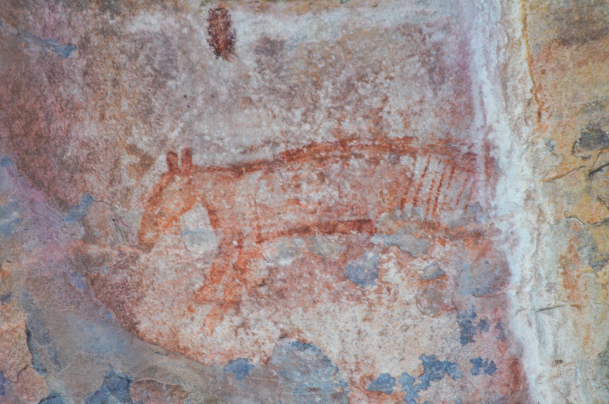 Aboriginal rock art Tasmanian Tiger