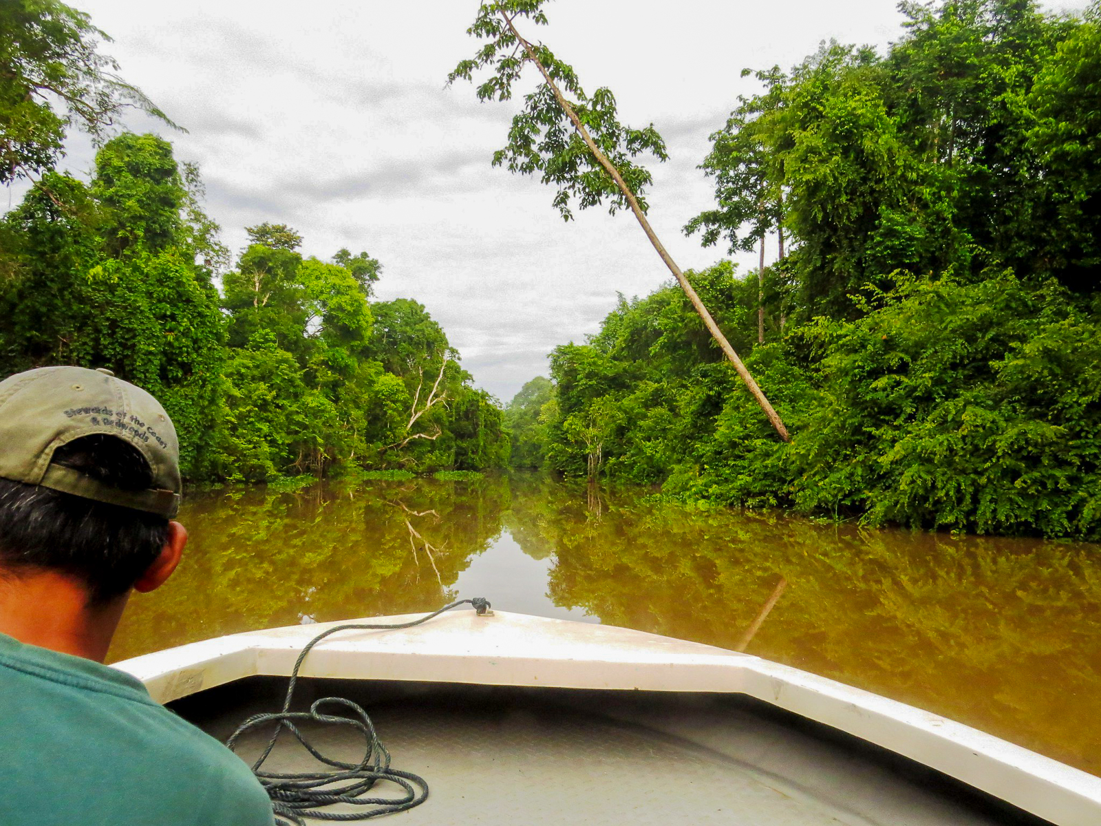 Kinabatangan River boat ride