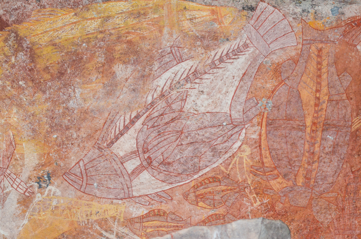 Rock art of X-ray style fish