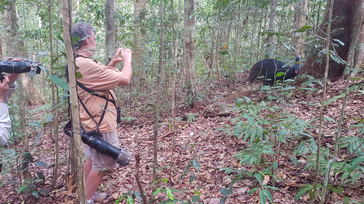 Taking photos of Southern Cassowary