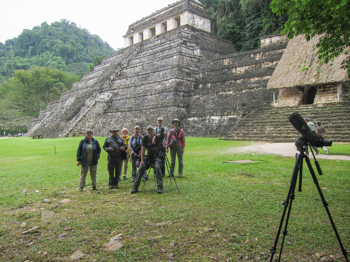 Bird watching group in Palenque