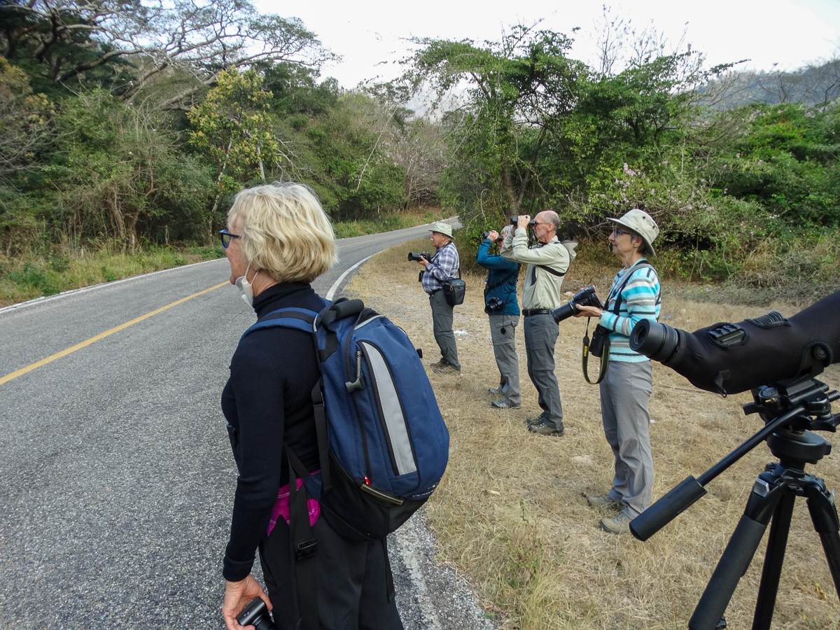 Birdwatching in Mexico