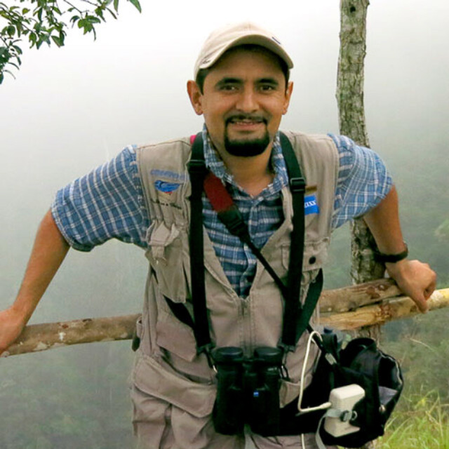 Alexander Alvarado - Bird Guide