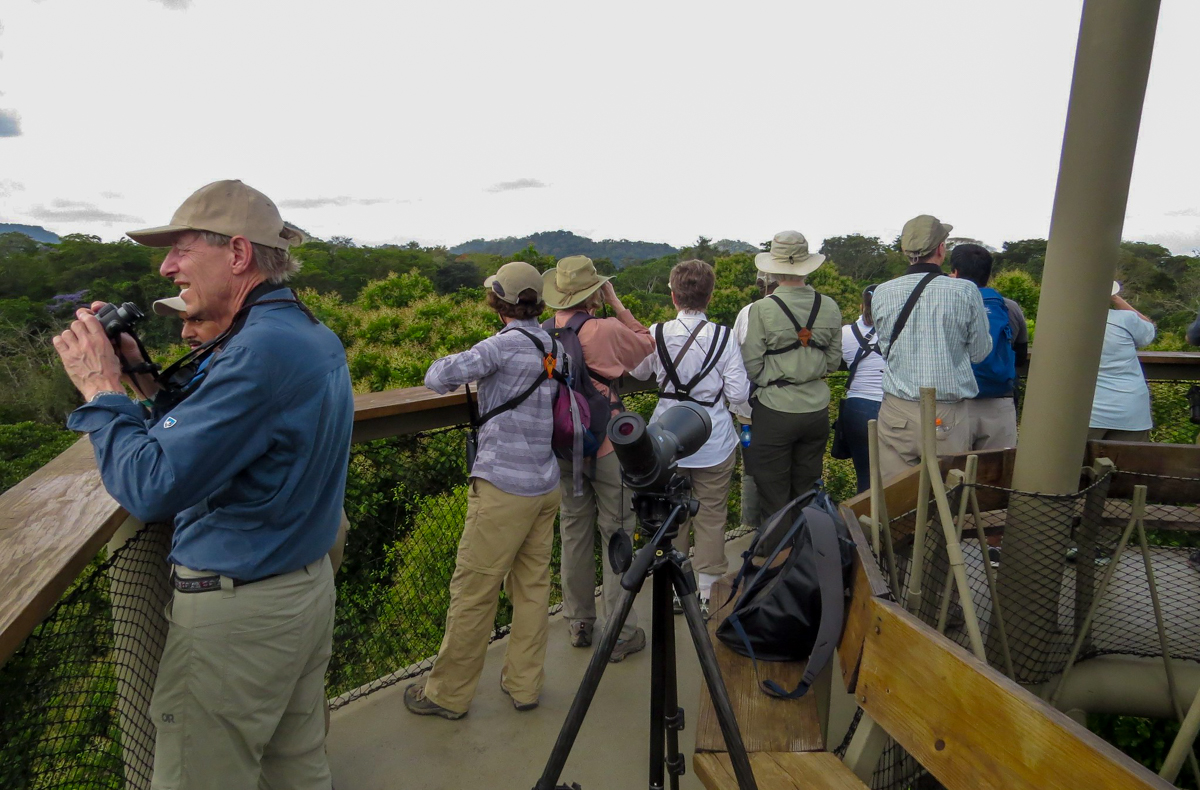 Birders at Canopy Tower, Panama