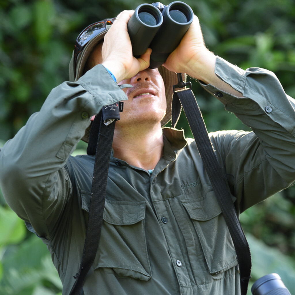 Bird guide, Ernesto, with binoculars