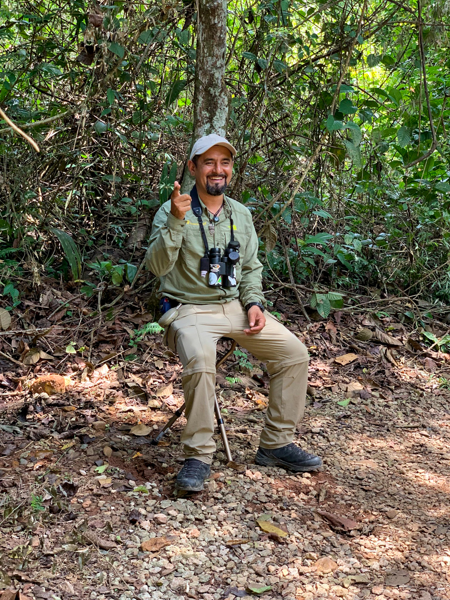 Bird guide, Alex, Panama