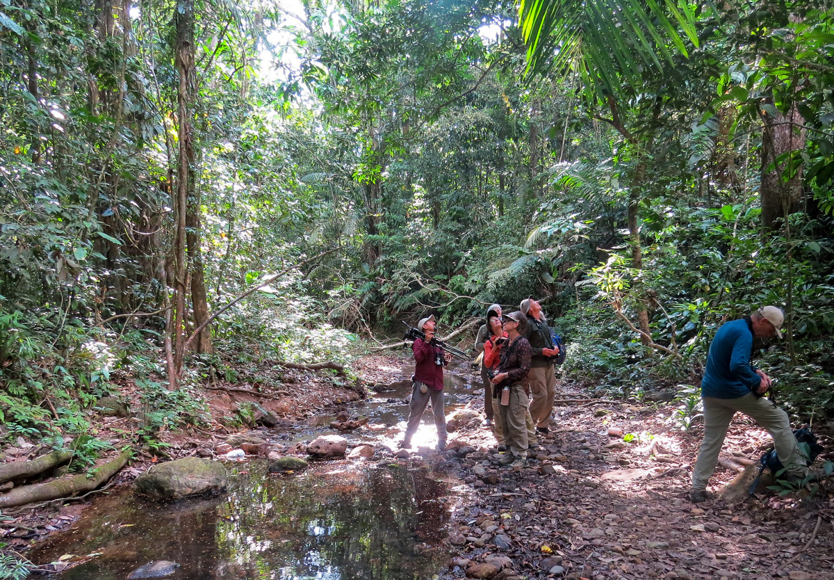 birdwatchers in Panama